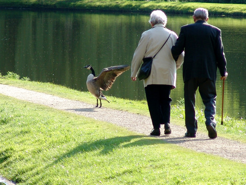 Ausruhen und sich setzen, falls es mal nicht mehr geht. Doch Parkbaenke gibt es nicht ueberall